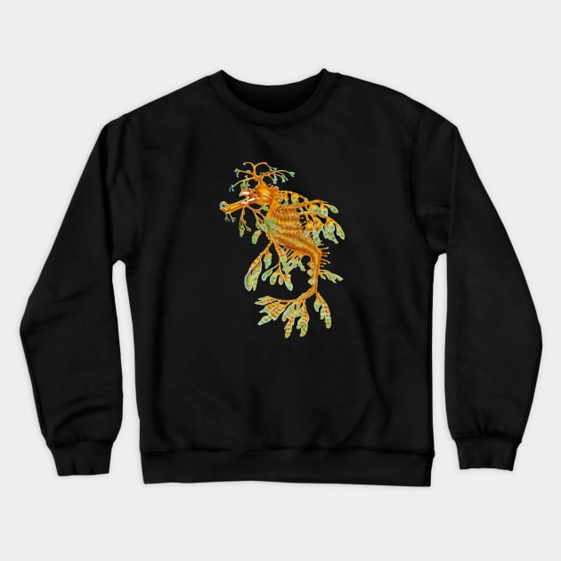 Leafy Seadragon Crewneck Sweatshirt by Tim Jeffs Art